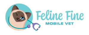 Brisbane mobile cat vet